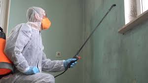 Biohazard Mold Removal